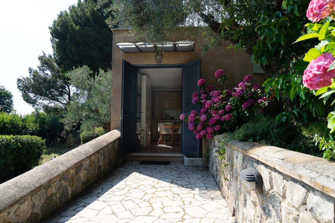 Frascati Country House Grottaferrata Exterior photo